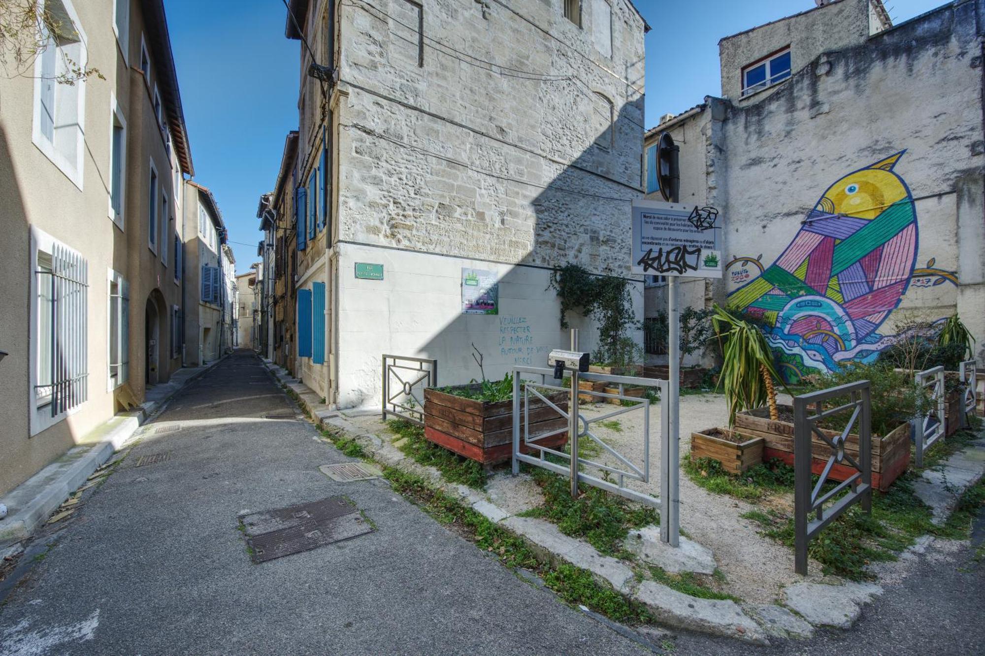 Appartement Cosy Avignon Centre-Ville Ngoại thất bức ảnh